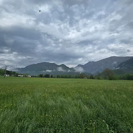 Апартаменты Sinc